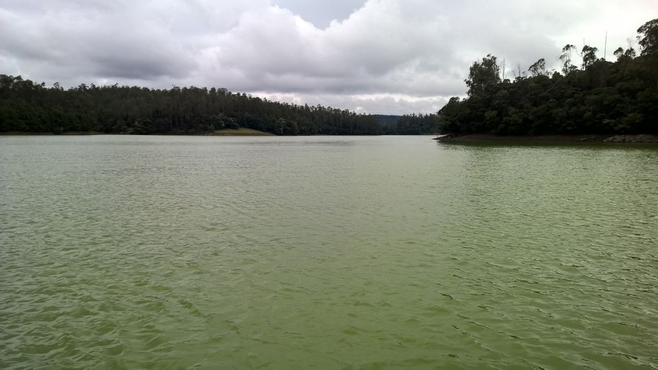 Photo of 4 days of long weekend in Ooty and Coonoor 9/12 by neha garg