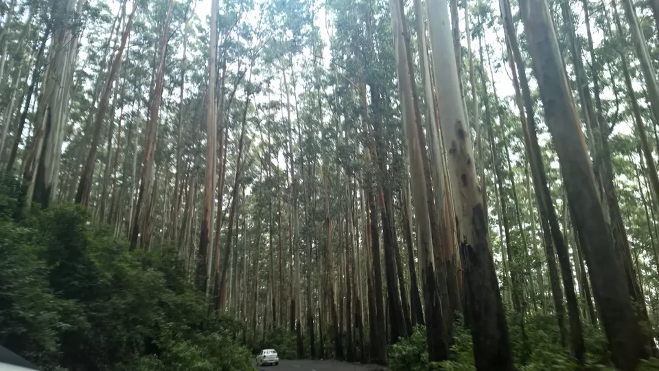 Photo of Way back from Ooty to Bangalore by neha garg