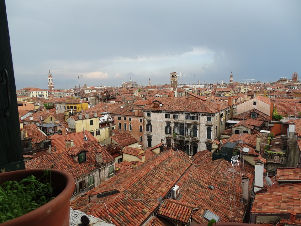 Photo of Italy in 7 days: Travel Guide and Itinerary 36/42 by neha garg