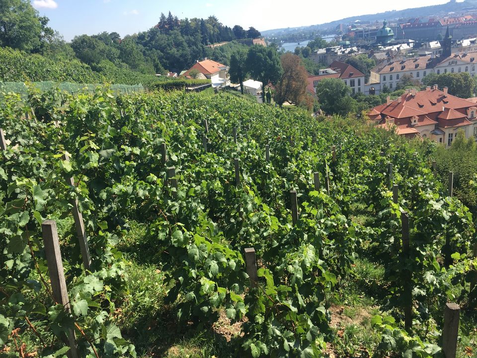 Photo of Prague, Czechia by neha garg