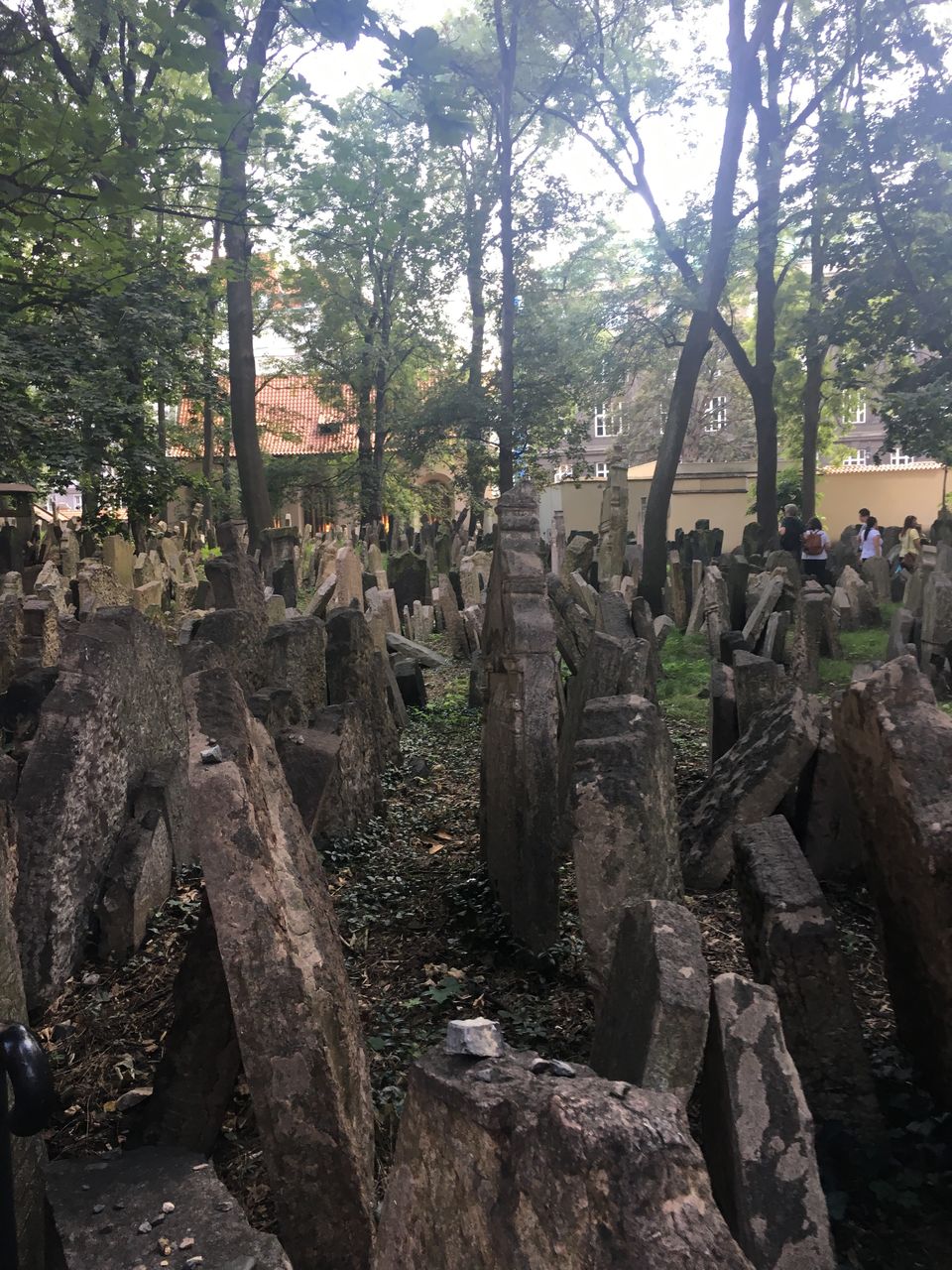 Photo of 3 Days in Prague by neha garg