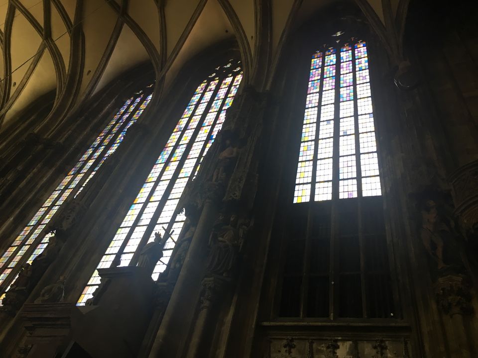 Photo of 2 days in Vienna by neha garg