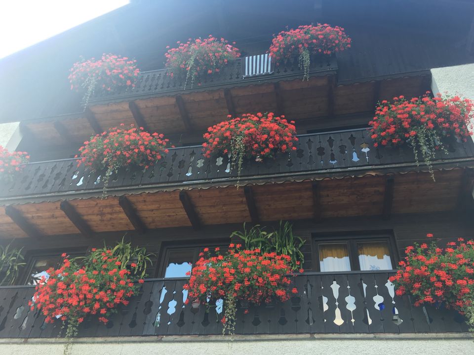 Photo of Girls only 9 day trip to Eastern Europe 18/21 by neha garg
