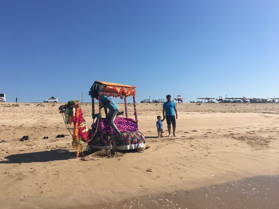 Photo of 6 days Pilgrimage to Gujarat by neha garg