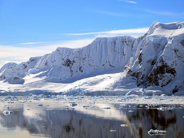 Photo of All you need to know for planning a trip to Antarctica by neha garg