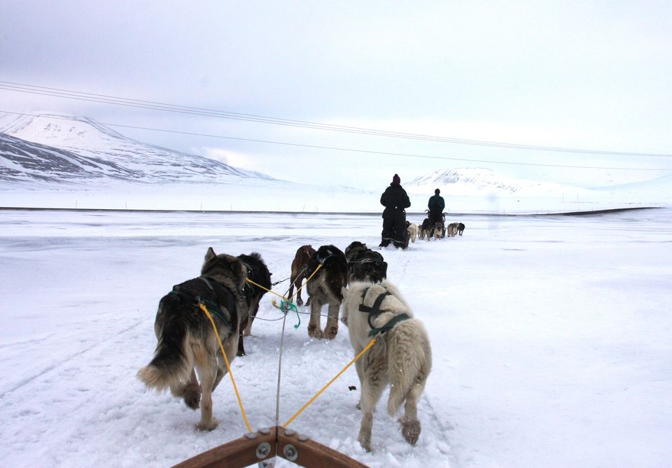 Photo of A complete travel guide to Norway and Svalbard 34/37 by neha garg