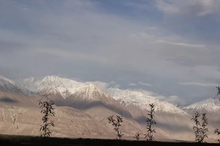 Photo of Why you should visit Nubra Valley this Summer by Asma Sayed