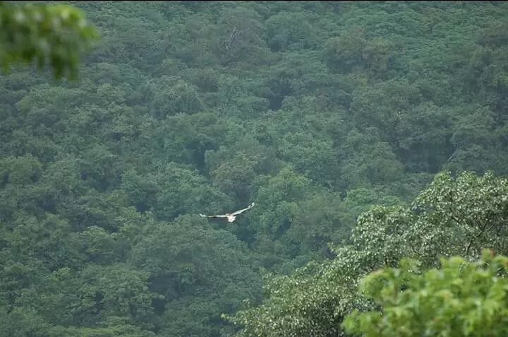 Photo of Chakdev, Maharashtra, India by Rahul Datye