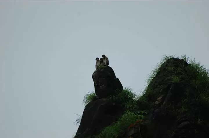 Photo of Shindi, Maharashtra, India by Rahul Datye