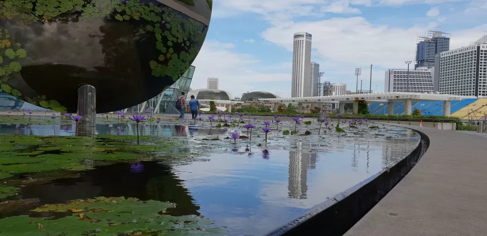 Photo of Mini Singapore by Dhruv Basur