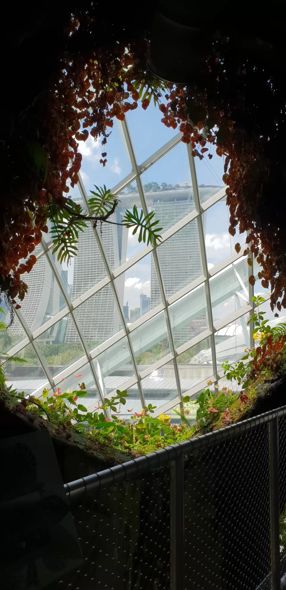 Photo of Mini Singapore by Dhruv Basur