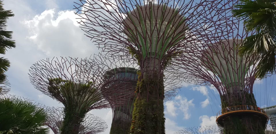 Photo of Mini Singapore by Dhruv Basur