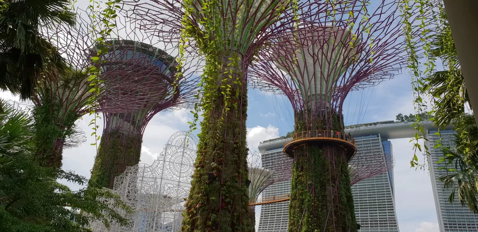 Photo of Mini Singapore by Dhruv Basur