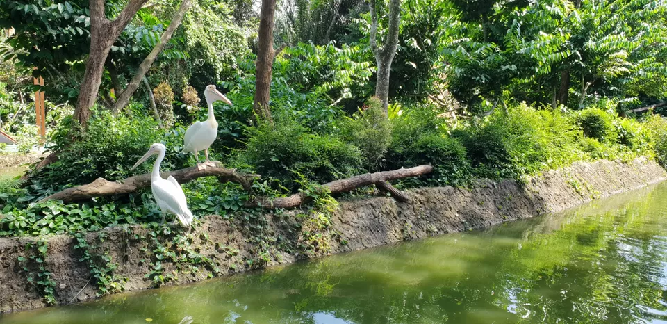 Photo of Mini Singapore by Dhruv Basur