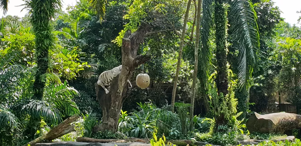 Photo of Mini Singapore by Dhruv Basur
