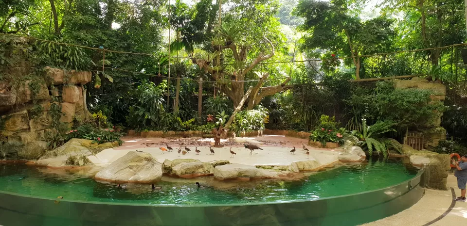 Photo of Mini Singapore by Dhruv Basur