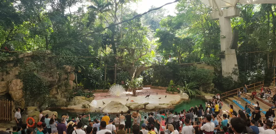 Photo of Mini Singapore by Dhruv Basur