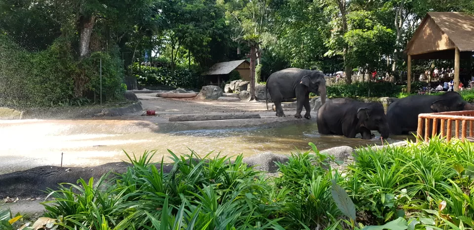 Photo of Mini Singapore by Dhruv Basur