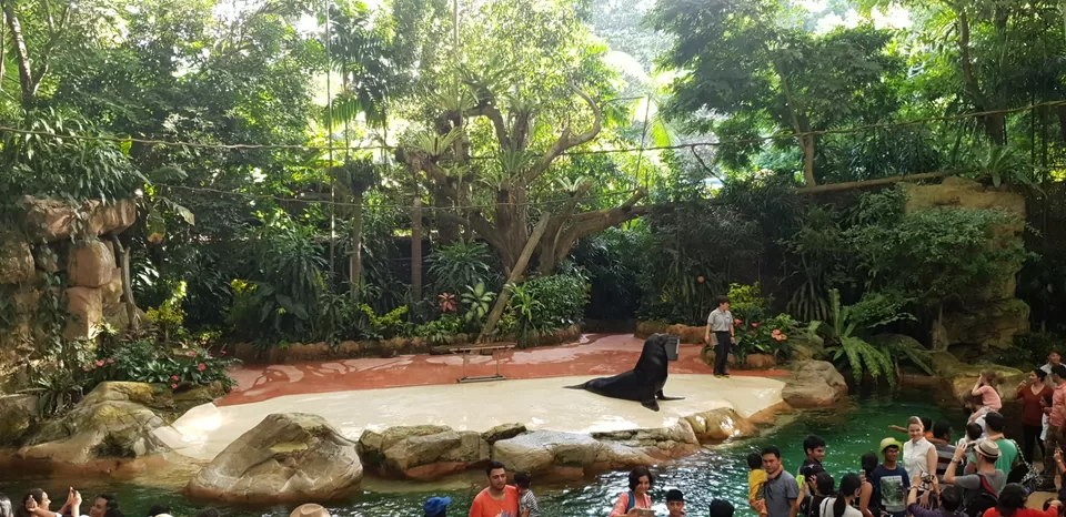 Photo of Mini Singapore by Dhruv Basur