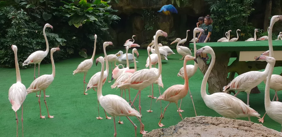 Photo of Mini Singapore by Dhruv Basur