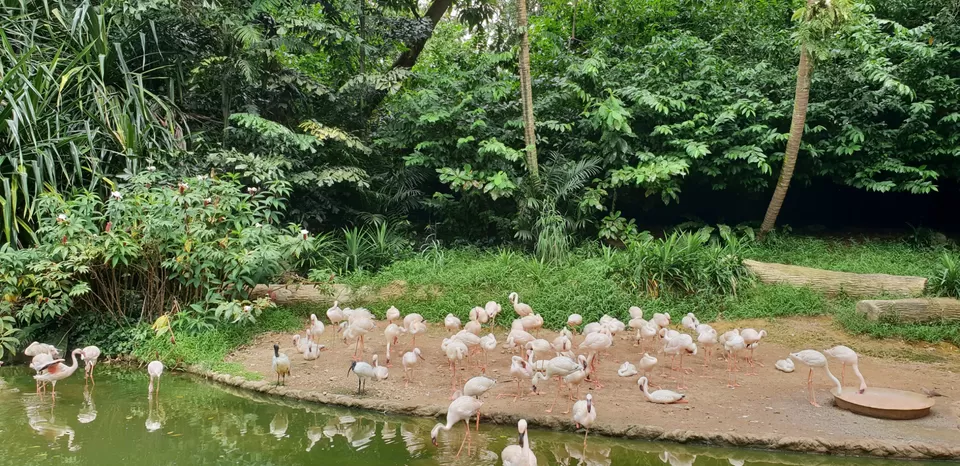 Photo of Mini Singapore by Dhruv Basur
