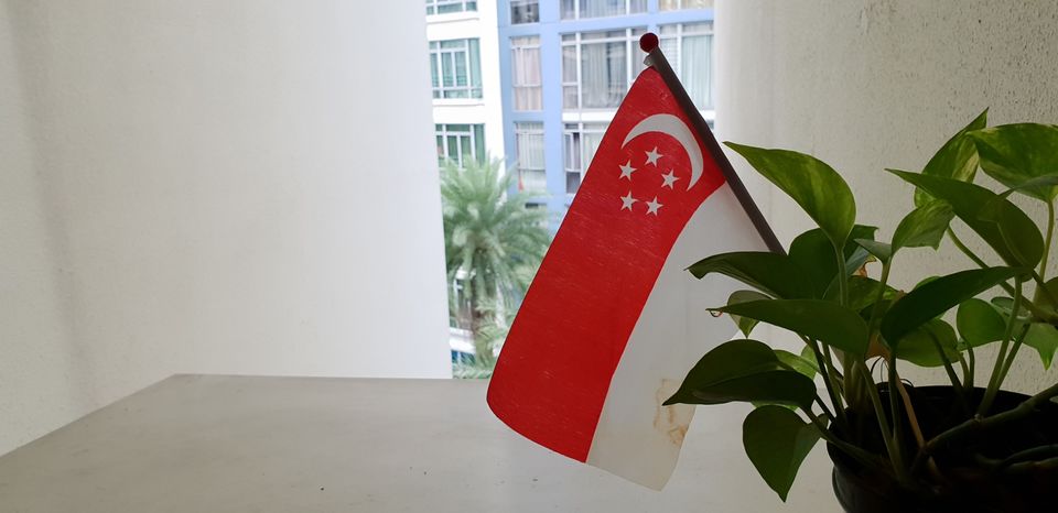 Photo of Mini Singapore by Dhruv Basur