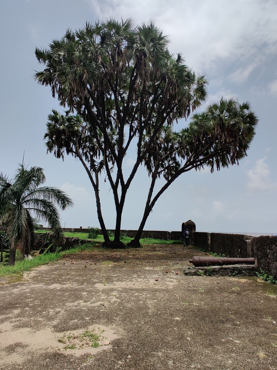 Photo of Moti Daman Fort, Moti Daman, Daman, Dadra and Nagar Haveli and Daman and Diu, India by Varun M. Upase