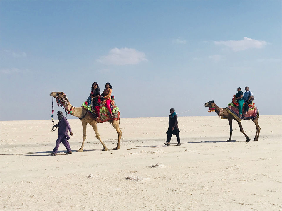 Photo of Gujarat by Ramesha Reddy Es