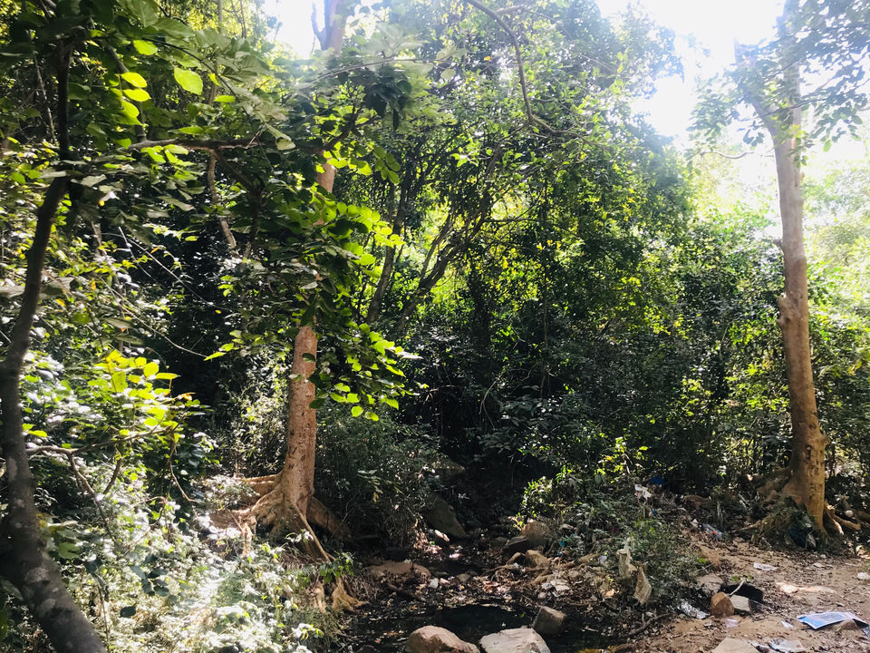 Photo of Muthyala Maduvu Falls by Ramesha Reddy Es