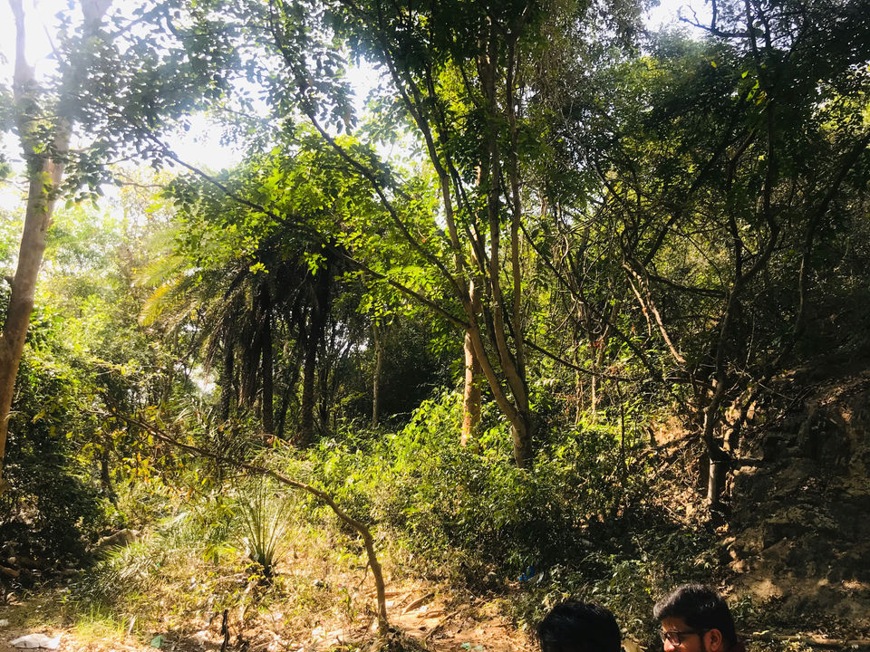 Photo of Muthyala Maduvu Falls by Ramesha Reddy Es