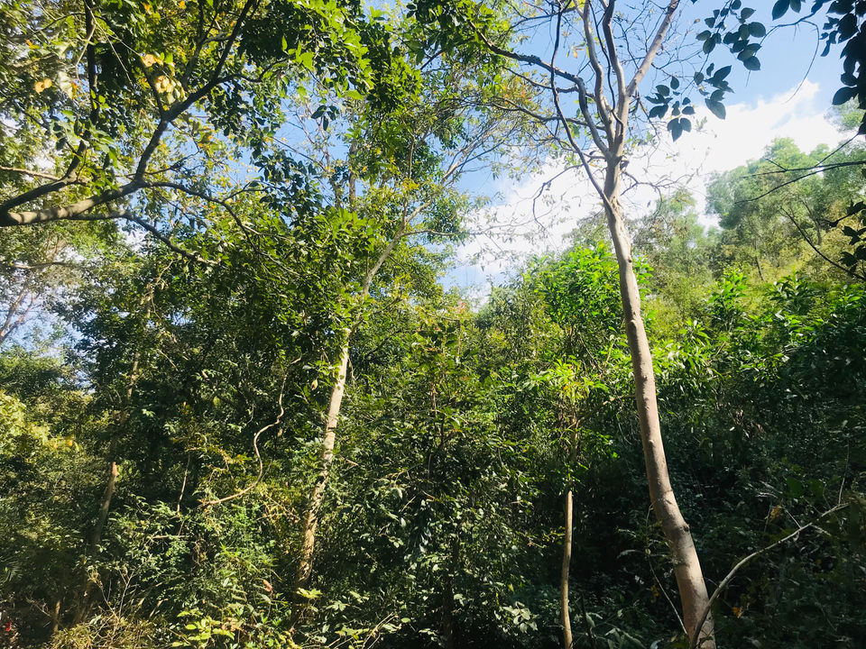 Photo of Muthyala Maduvu Falls by Ramesha Reddy Es