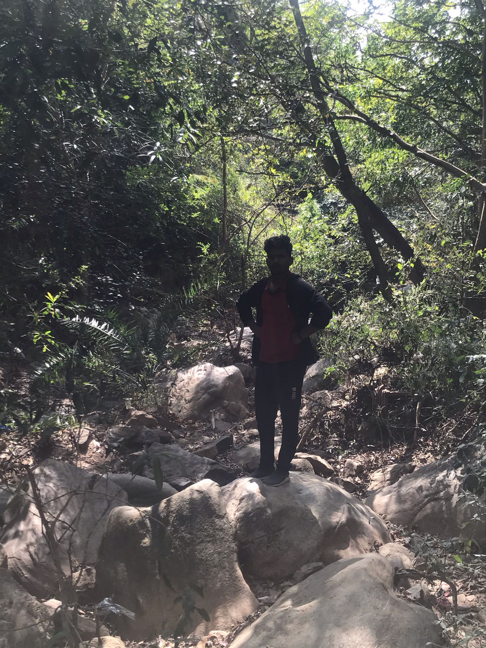 Photo of Muthyala Maduvu Falls by Ramesha Reddy Es