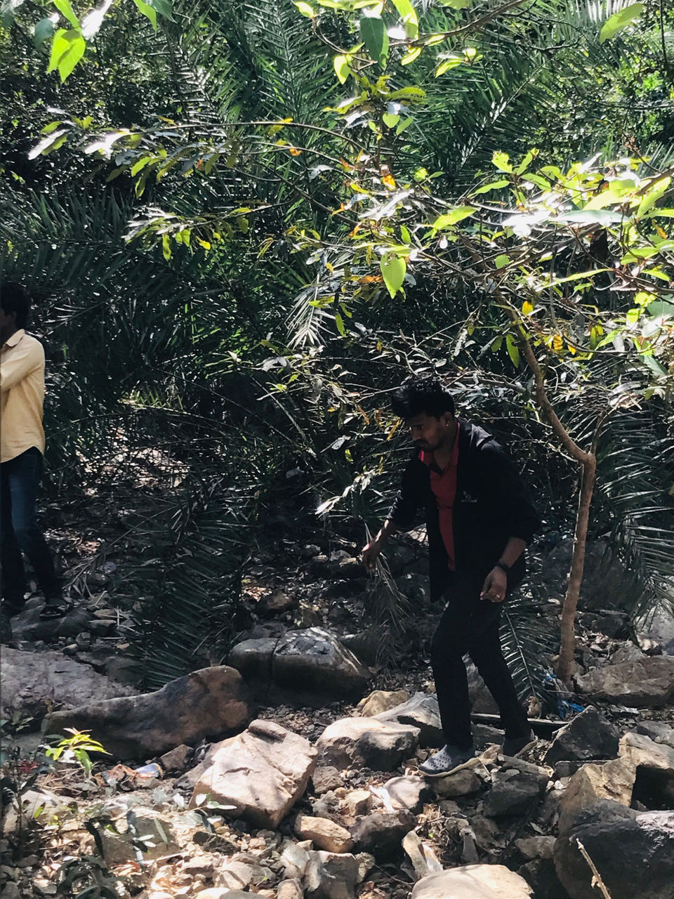Photo of Muthyala Maduvu Falls by Ramesha Reddy Es