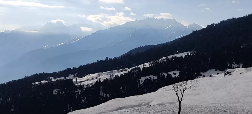 Photo of Auli, Auli Laga Salude, Uttarakhand, India by Ashray
