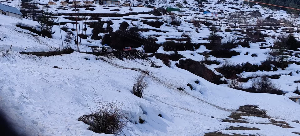 Photo of Auli, Auli Laga Salude, Uttarakhand, India by Ashray