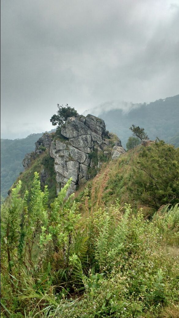 Photo of Doddabetta View Point Ooty, Tamil Nadu, India by Priyanka Bharti