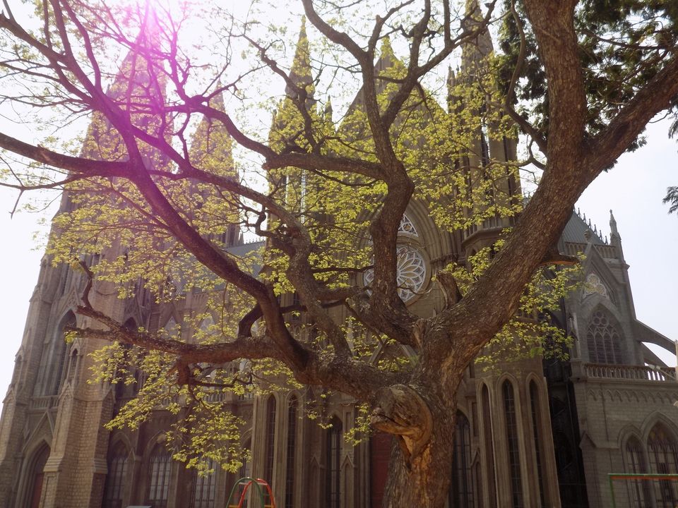 Photo of Mysore - A day Tour from Bangalore 9/9 by Priyanka Bharti