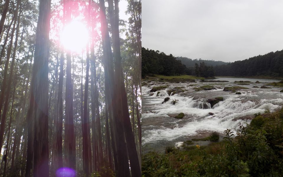 Photo of Pykara WaterFalls, Pykara, Sholur, Tamil Nadu, India by Priyanka Bharti
