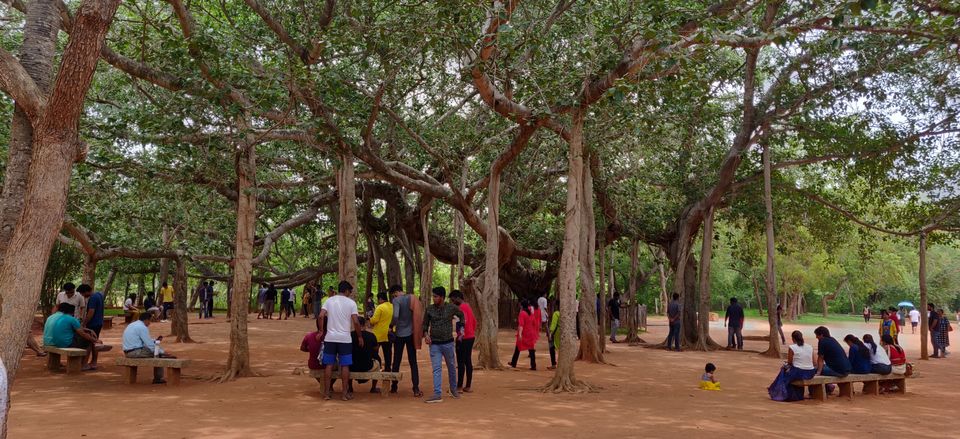 Photo of J'aime Pondichéry by travel boss