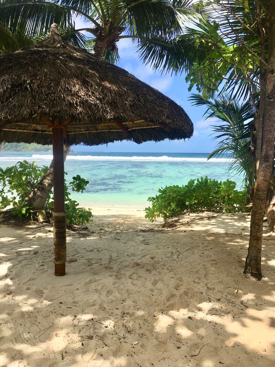Photo of Five reasons to add Seychelles on your bucket list 1/1 by Nishtha Jain