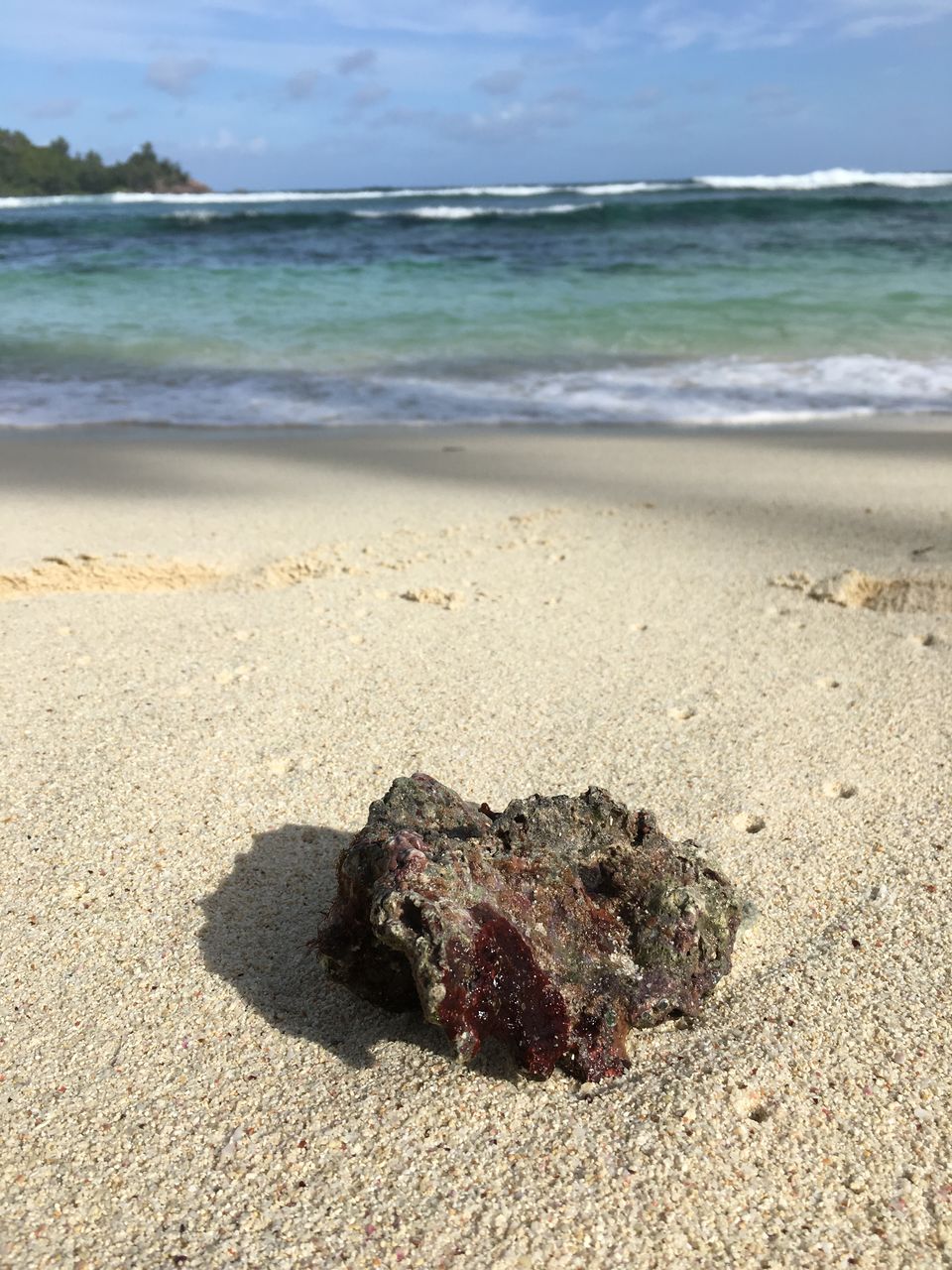 Photo of La Digue, Seychelles by Nishtha Jain