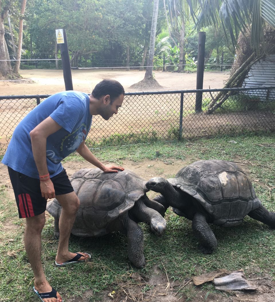 Photo of Five reasons to add Seychelles on your bucket list by Nishtha Jain