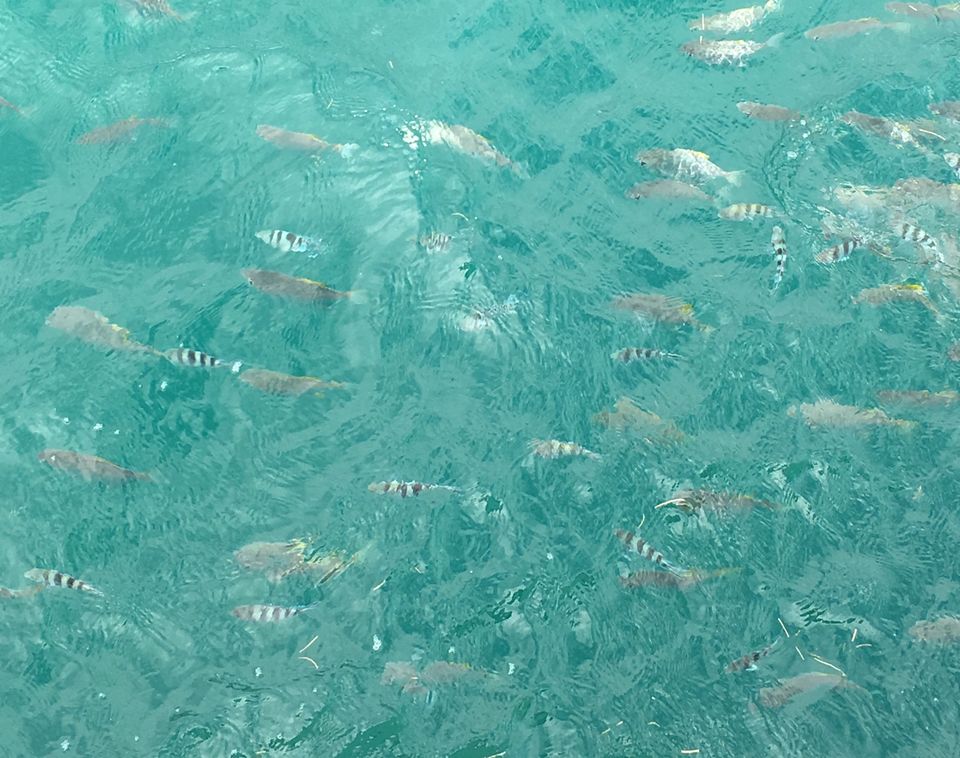 Photo of Five reasons to add Seychelles on your bucket list by Nishtha Jain
