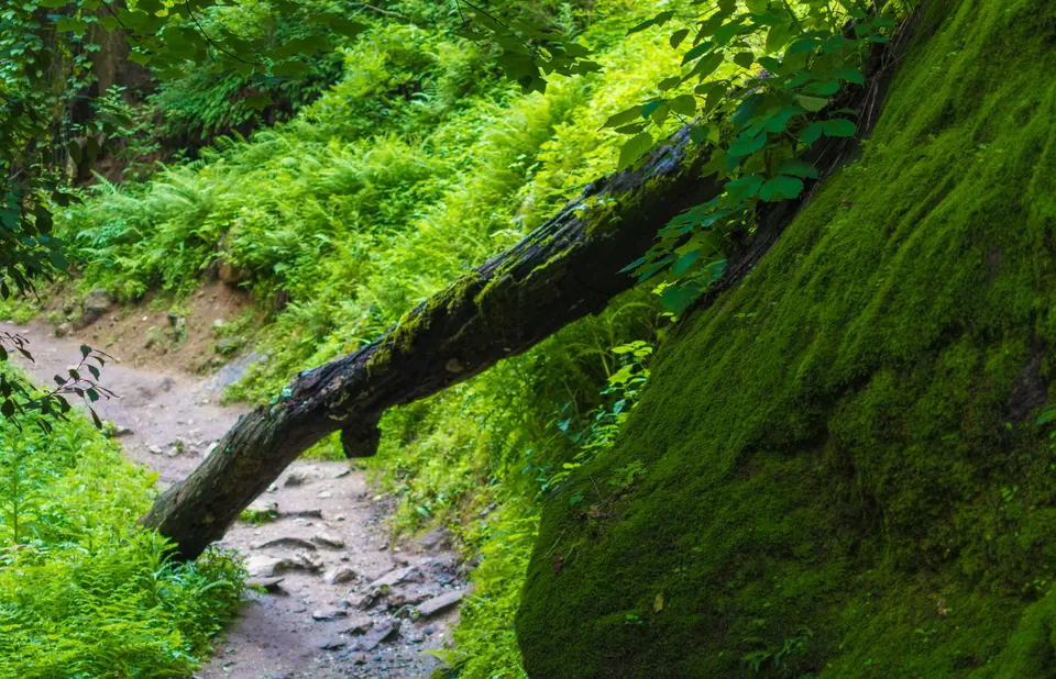 Photo of Explore Parvati Valley in Monsoon by Jitendera Pratap Singh