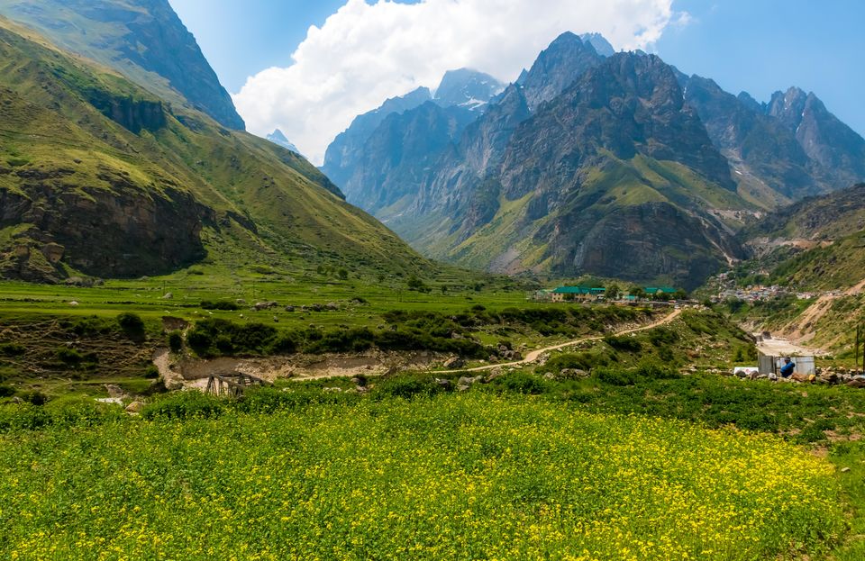Photo of Valley of Flowers and Sri Hemkund Saheb by Jitendera Pratap Singh