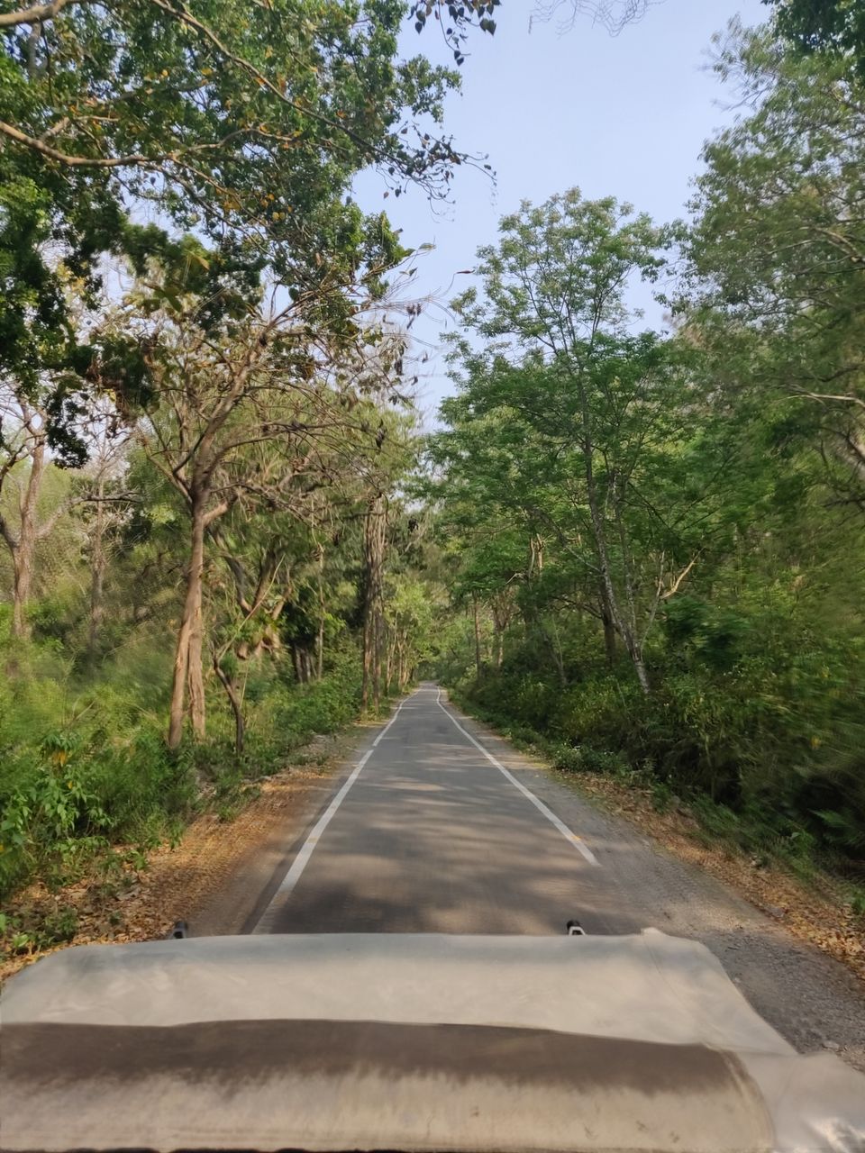 Photo of Trip to Jim Corbett by Akhilesh Varma