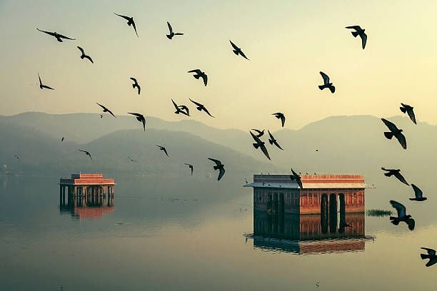 Photo of झील में तैरता एक रहस्यमयी महल: जलमहल by मैं घुमंतू
