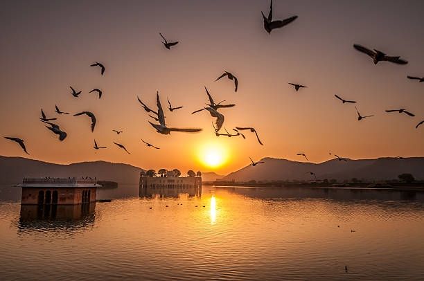 Photo of झील में तैरता एक रहस्यमयी महल: जलमहल by मैं घुमंतू