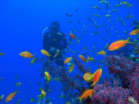 Photo of Caribbean Tandem Yacht Charter Itinerary 6/6 by Andrew Buys