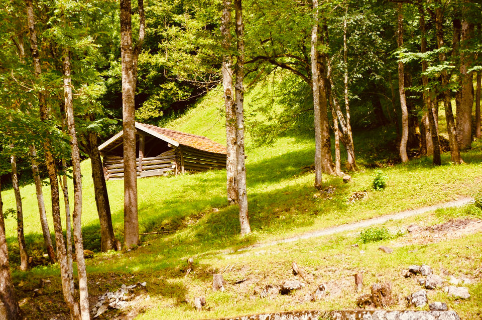 Photo of Bavaria, Germany by compass_cupcakes